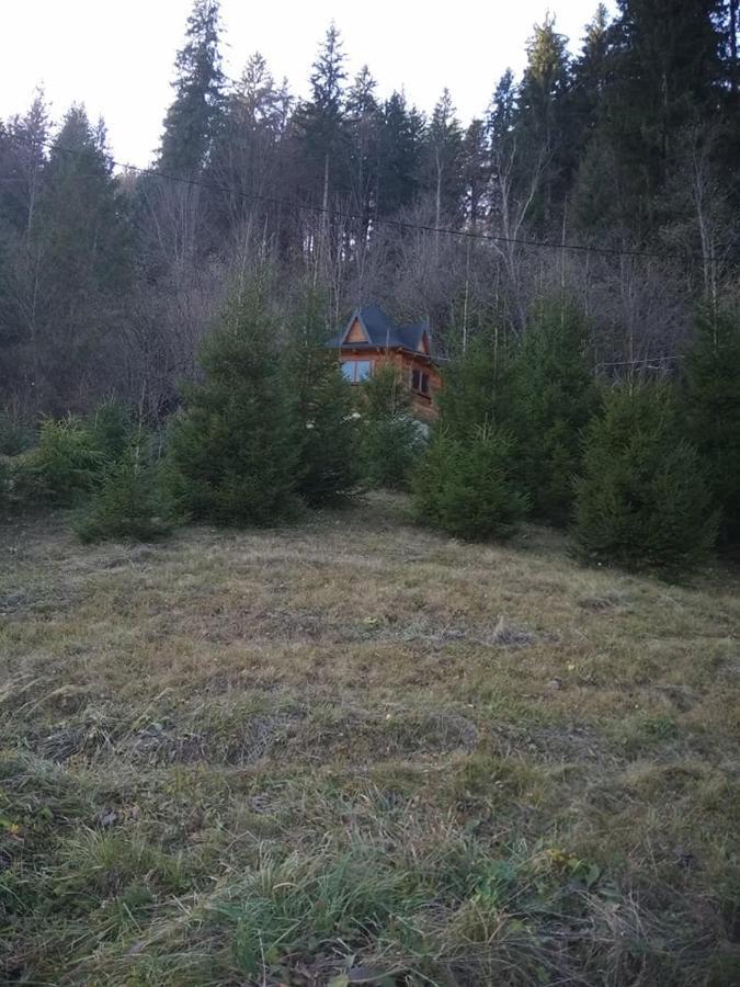 На Полумистому Villa Mykulytjyn Exteriör bild
