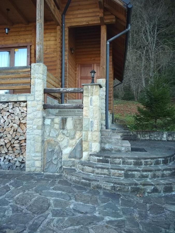 На Полумистому Villa Mykulytjyn Exteriör bild